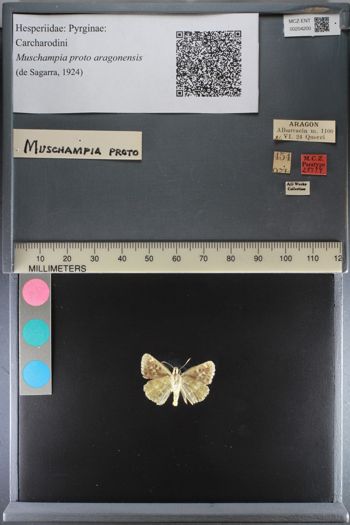 Media type: image;   Entomology 204200